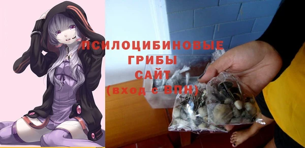 ПСИЛОЦИБИНОВЫЕ ГРИБЫ Алексин