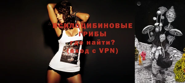 прущая мука Алзамай