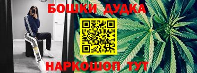 прущие грибы Бийск