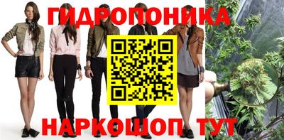 прущие грибы Бийск