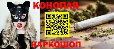 прущие грибы Бийск
