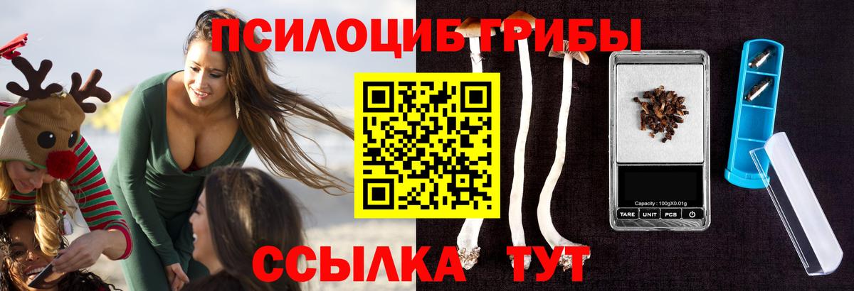 Галлюциногенные грибы Psilocybe Железноводск