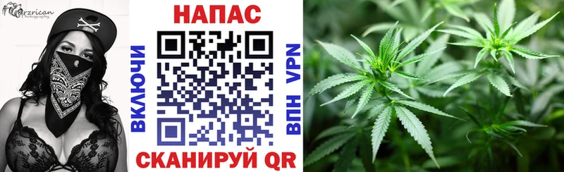 Бошки марихуана SATIVA & INDICA Железноводск